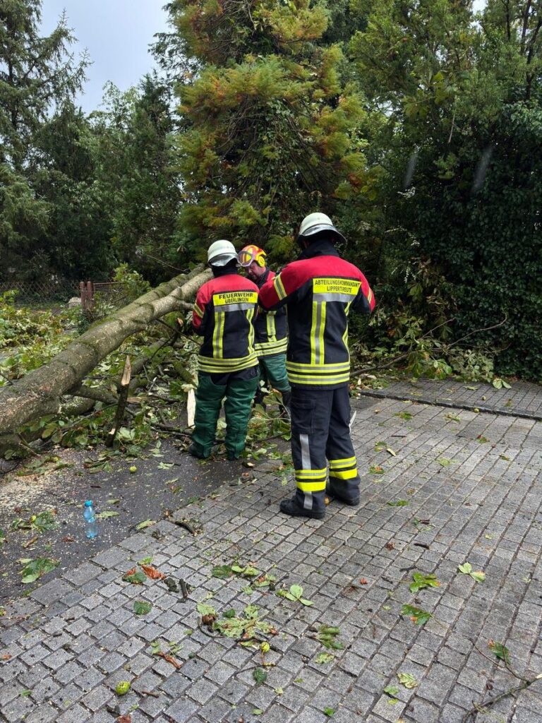 Überlingen: Heftiges Unwetter sorgt für 72 Feuerwehr-Einsätze