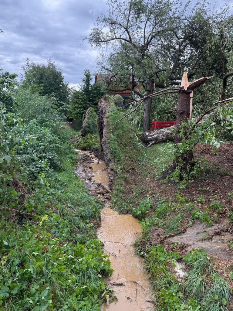 Überlingen: Heftiges Unwetter sorgt für 72 Feuerwehr-Einsätze