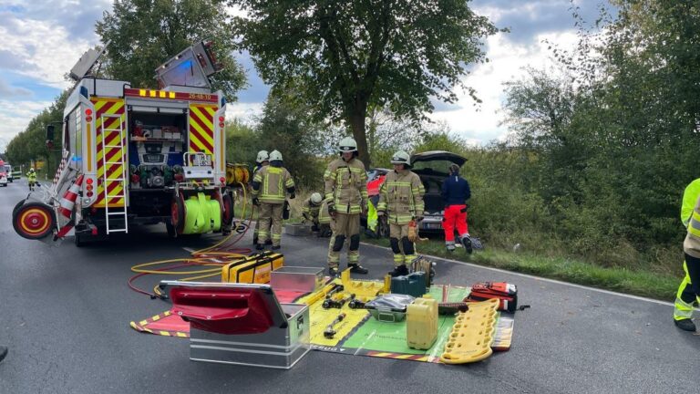 Unfall in Lehrte: Auto prallt gegen Baum, Fahrer stirbt