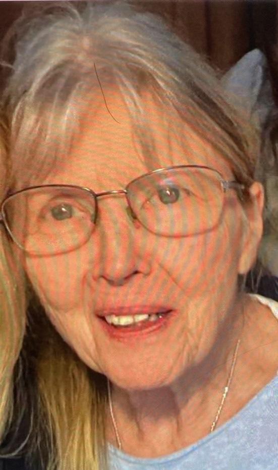 Wiesbaden: Hilflose Frau (75) aus Klinik vermisst
