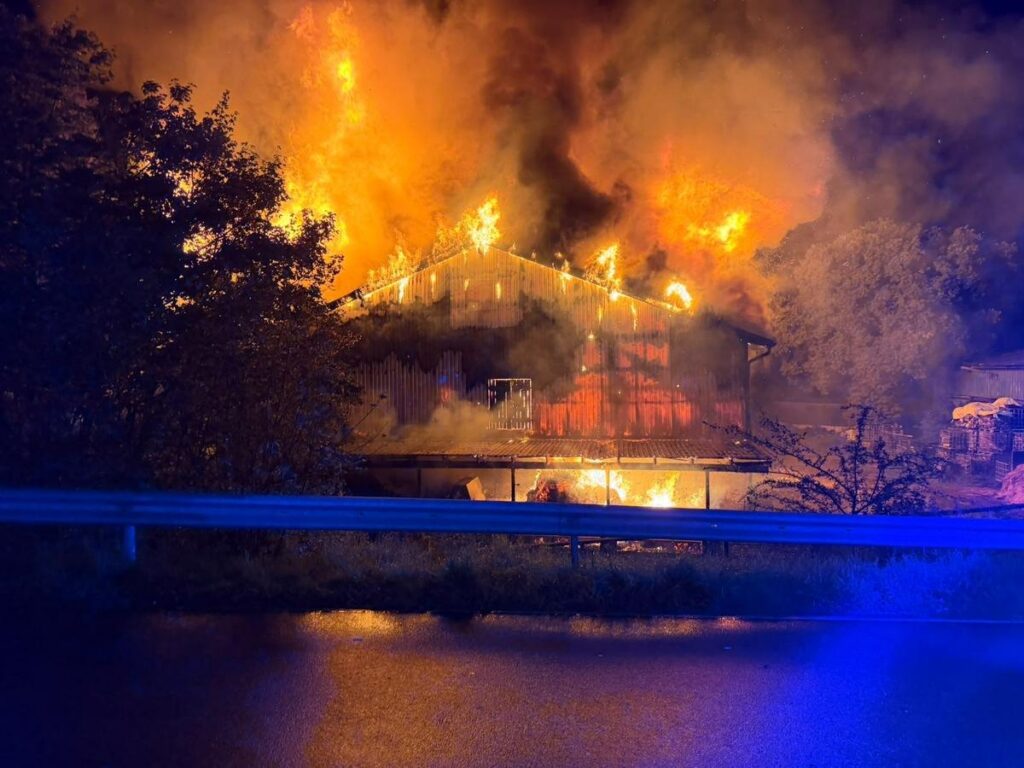 Henstedt-Ulzburg: Feuer-Drama auf Hof, 30 Kälber tot