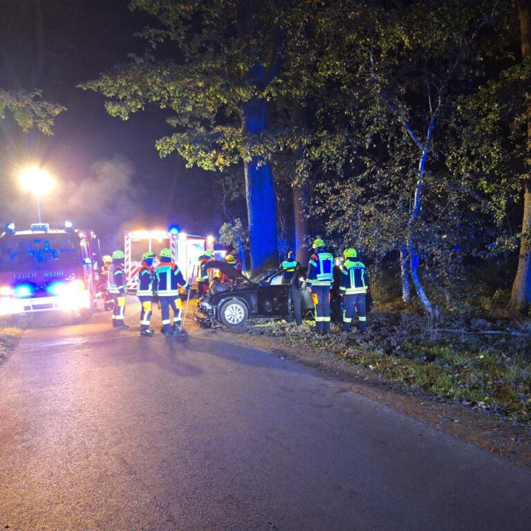 Ahausen: Wagen prallt gegen Baum, 3 Schwerverletzte bei Unfall