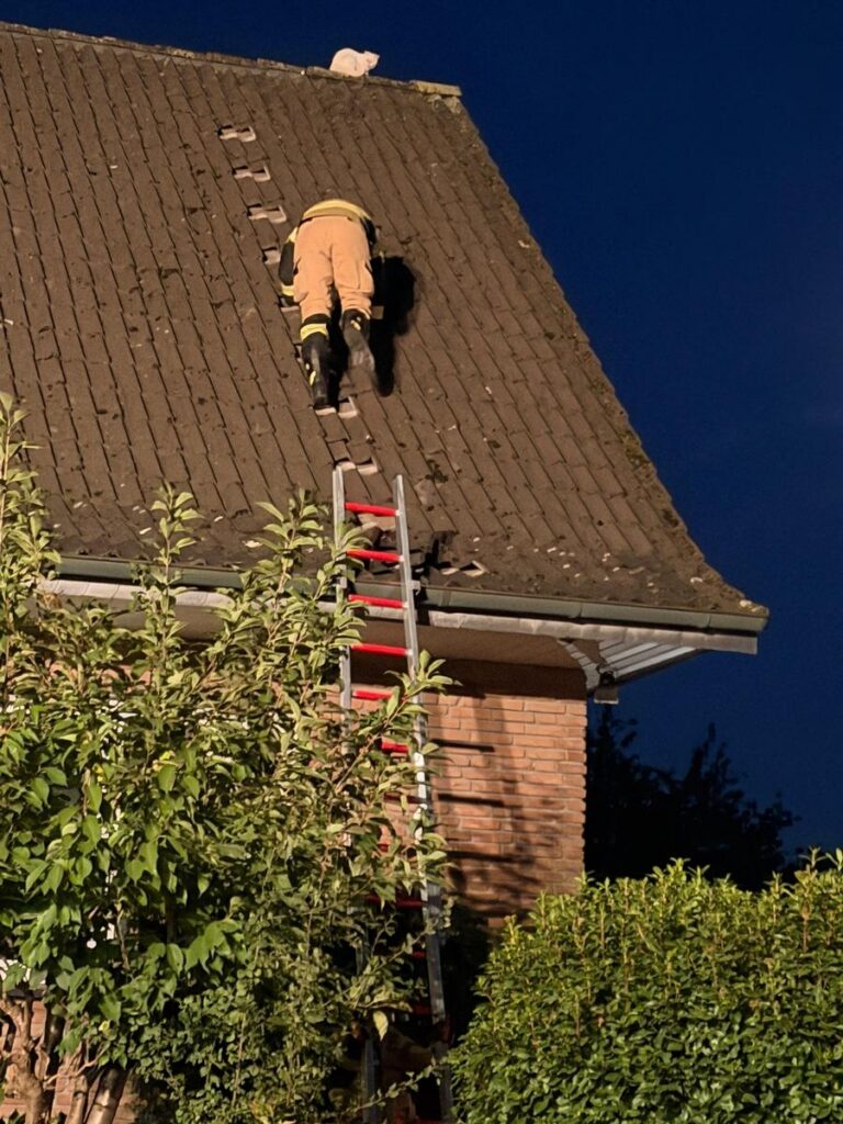 Xanten: Dachdecker-Feuerwehrmann rettet Katze