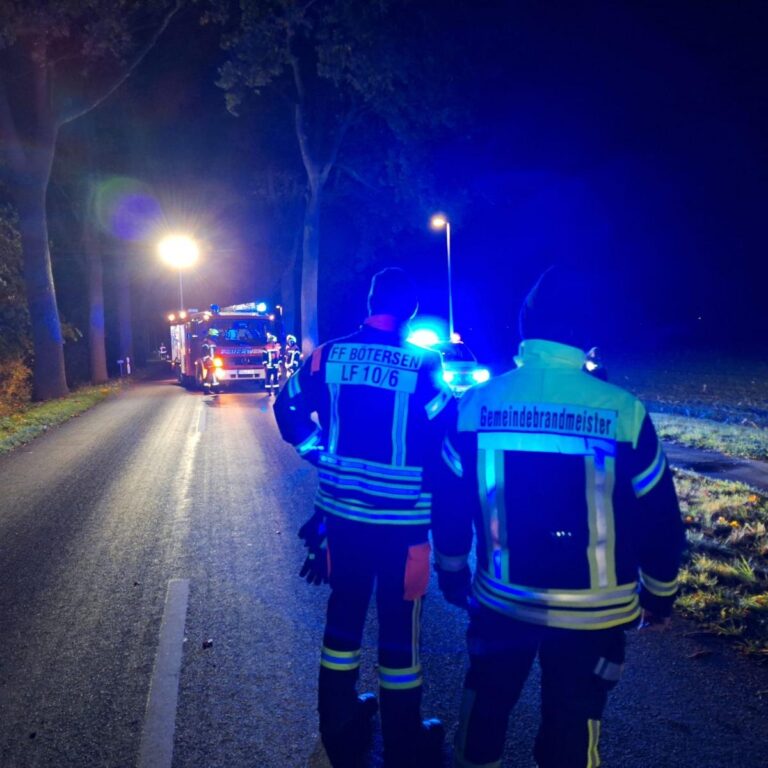 Bötersen: Auto prallt gegen Baum, Person stirbt bei Unfall