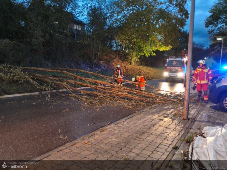 Neudenau: Wind stürzt Baum quer über Fahrbahn