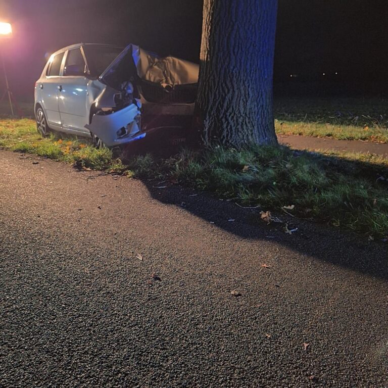 Bötersen: Auto prallt gegen Baum, Person stirbt bei Unfall