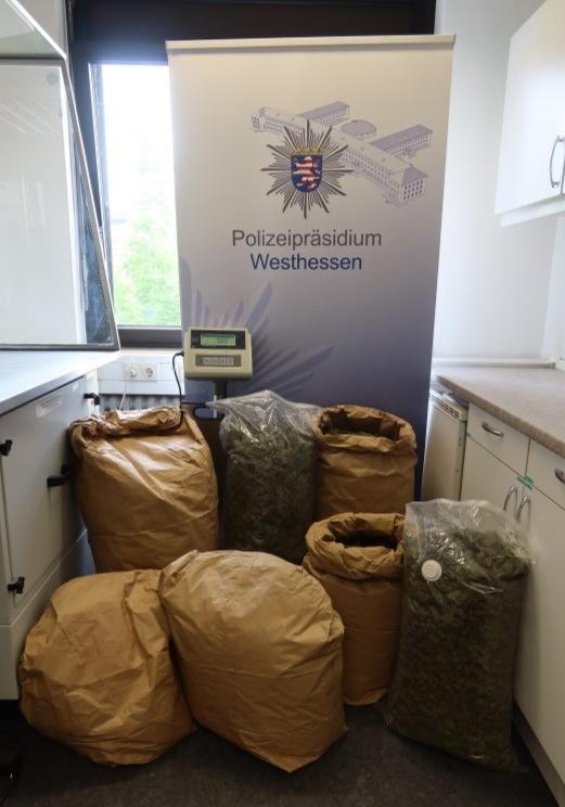 Runkel: Marihuana-Plantage fliegt auf, Mann (24) festgenommen