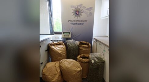 Runkel: Marihuana-Plantage fliegt auf, Mann (24) festgenommen